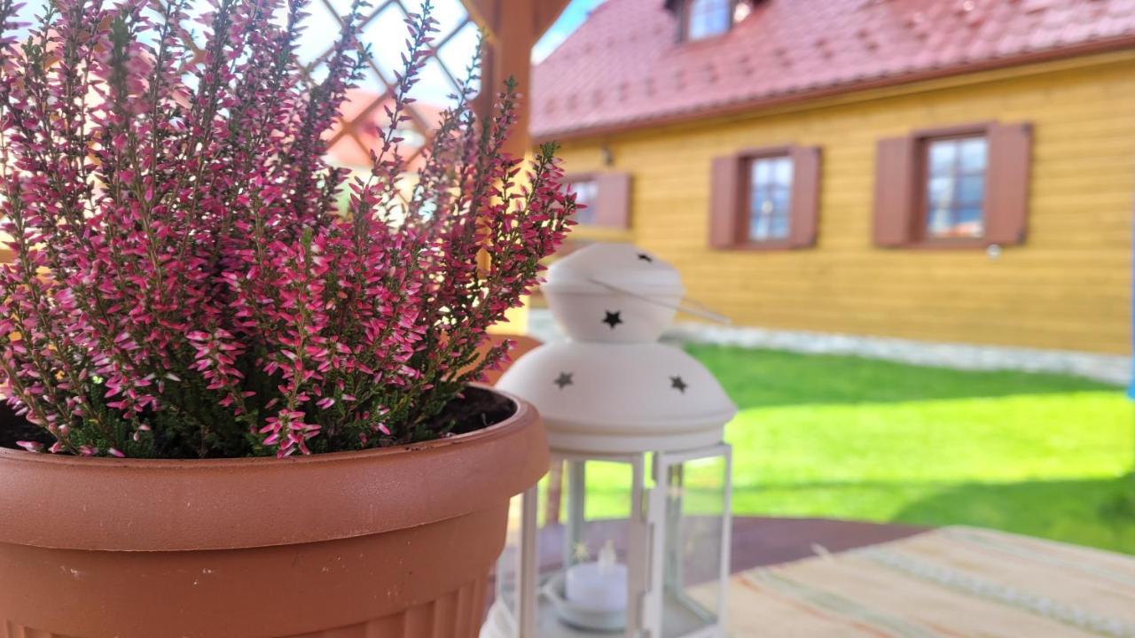 Holidayhouse Chalupa Alzbetka Vazec Экстерьер фото